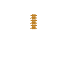 진료과목 아이콘