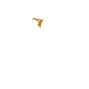 진료과목 아이콘